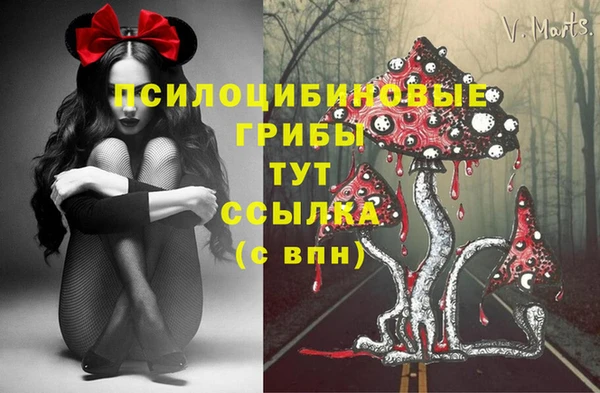 СК Кулебаки